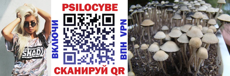 Галлюциногенные грибы Cubensis  Купить где  Приозерск 