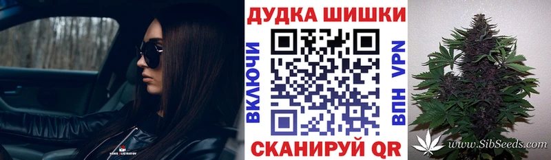 Купить закладки  Приозерск  Шишки марихуана план 